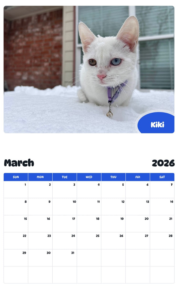 November 2025 - October 2026 Kiki - Pawidols Pet Calendar