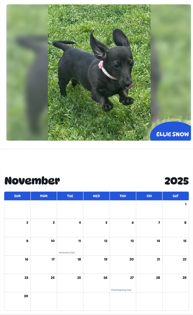 July 2025 - June 2026 Ellie Snow - Pawidols Pet Calendar