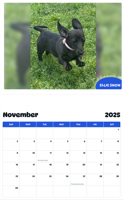 July 2025 - June 2026 Ellie Snow - Pawidols Pet Calendar