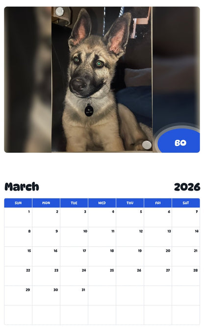 November 2025 - October 2026 BO - Pawidols Pet Calendar