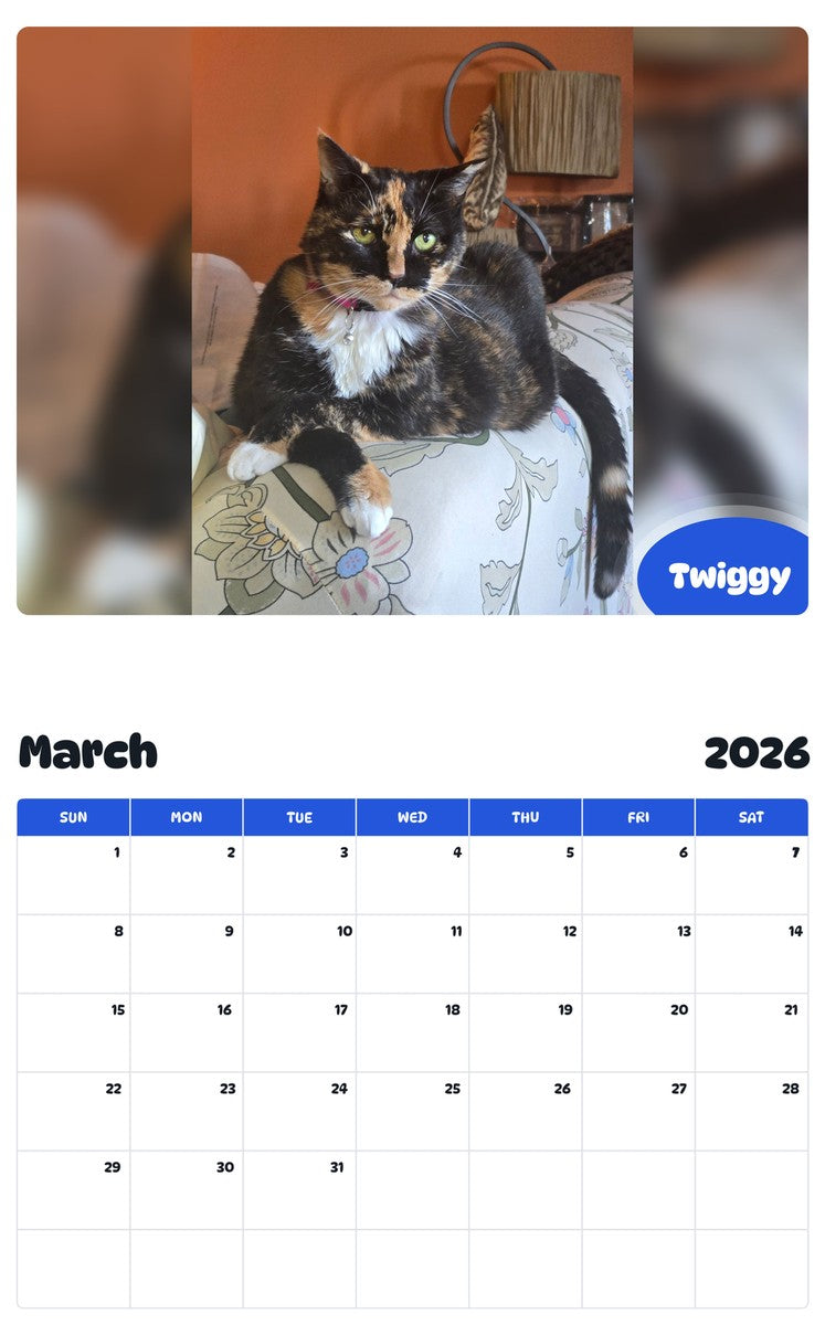 November 2025 - October 2026 Twiggy - Pawidols Pet Calendar