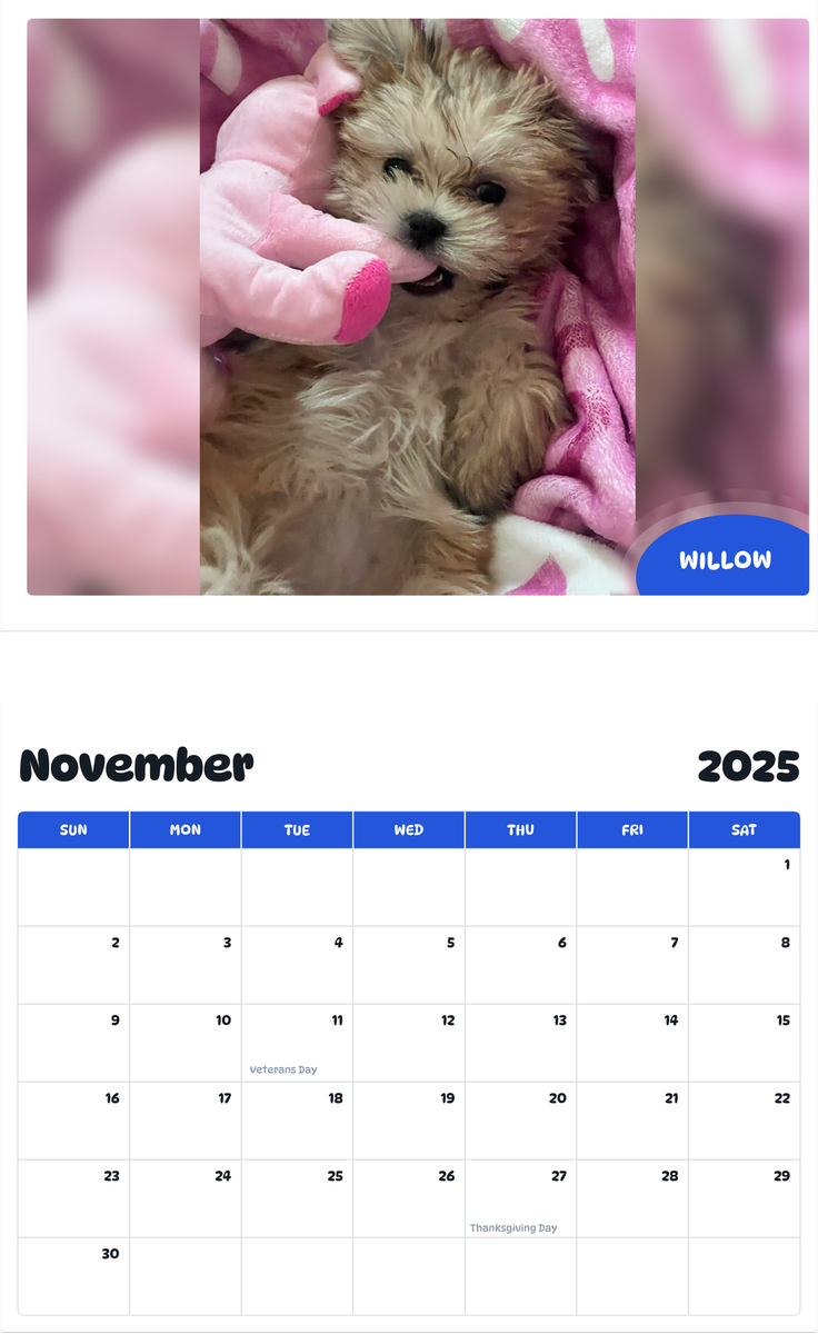 July 2025 - June 2026 Willow - Pawidols Pet Calendar