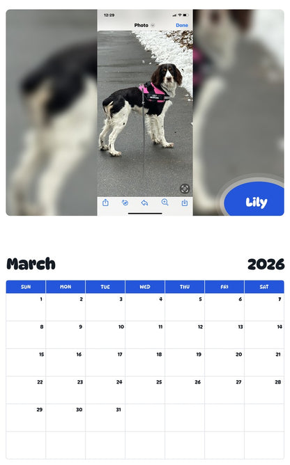 November 2025 - October 2026 Lily - Pawidols Pet Calendar