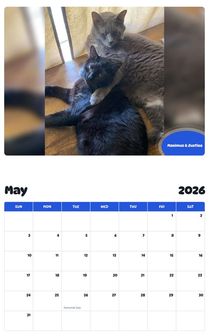 2026 - 2027 Maximus & Justice - Pawidols Pet Calendar