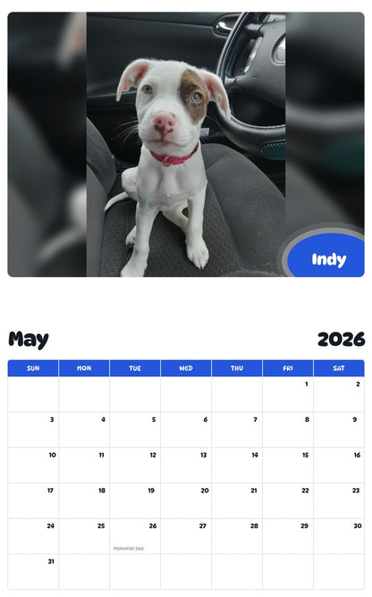 2026 - 2027 Indy - Pawidols Pet Calendar
