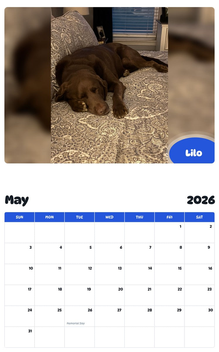 2026 - 2027 Lilo - Pawidols Pet Calendar