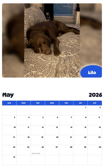 2026 - 2027 Lilo - Pawidols Pet Calendar