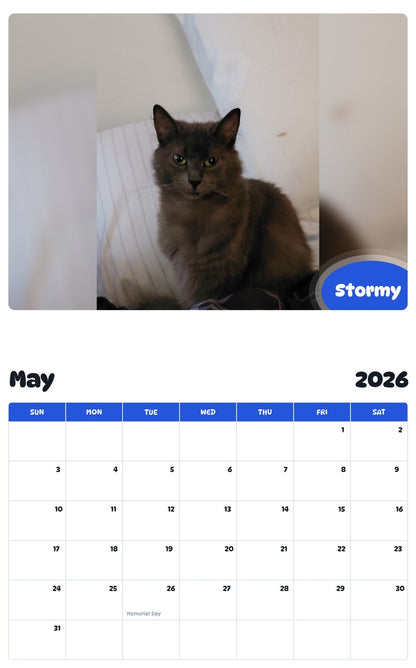 2026 - 2027 Stormy - Pawidols Pet Calendar