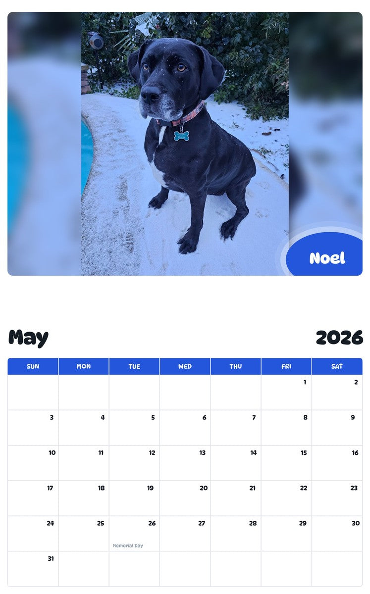 2026 - 2027 Noel - Pawidols Pet Calendar