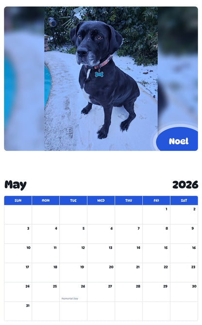 2026 - 2027 Noel - Pawidols Pet Calendar