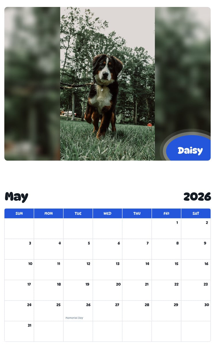 2026 - 2027 Daisy - Pawidols Pet Calendar