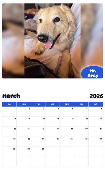 November 2025 - October 2026 Mr. Grey - Pawidols Pet Calendar