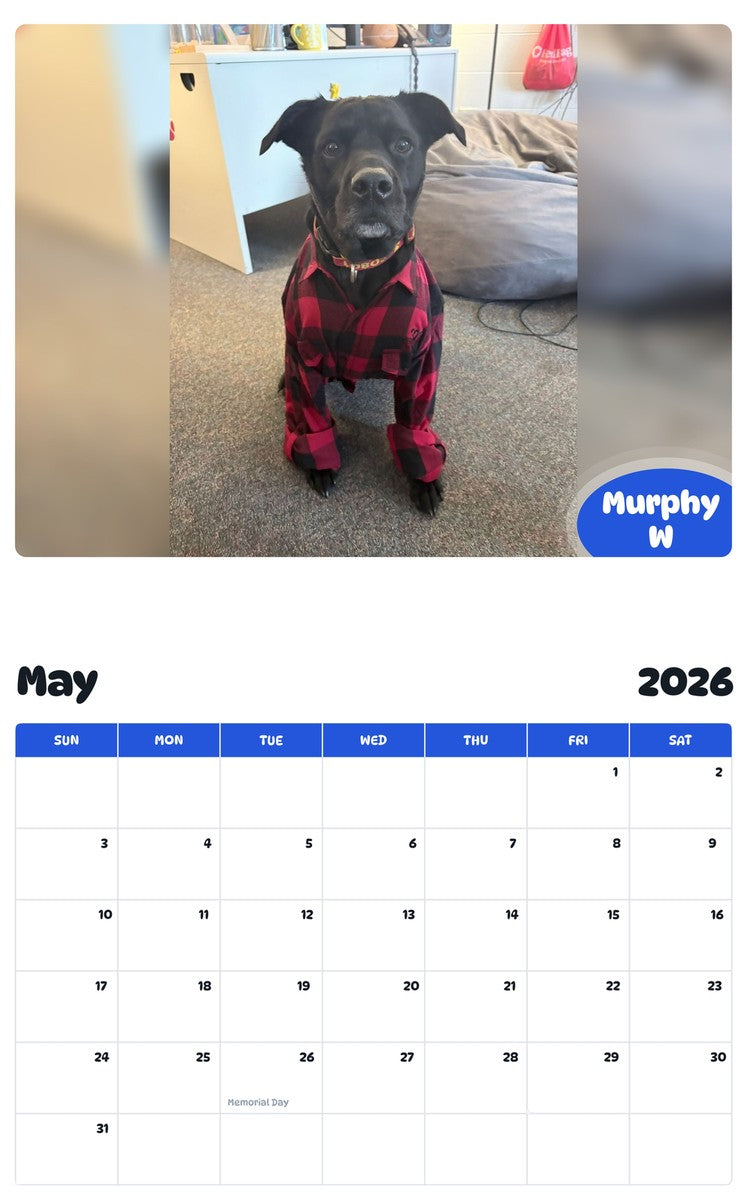 2026 - 2027 Murphy W - Pawidols Pet Calendar