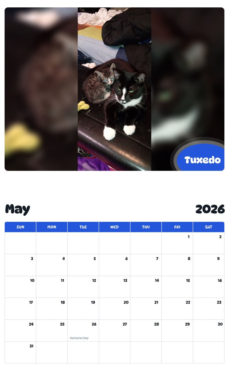 2026 - 2027 Tuxedo - Pawidols Pet Calendar