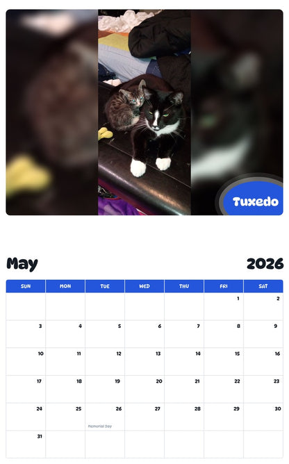 2026 - 2027 Tuxedo - Pawidols Pet Calendar