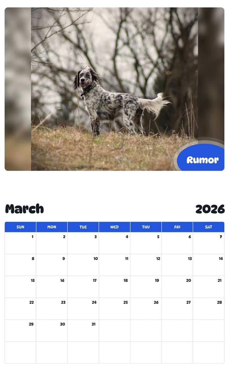 November 2025 - October 2026 Rumor - Pawidols Pet Calendar