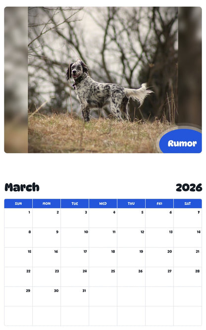 November 2025 - October 2026 Rumor - Pawidols Pet Calendar