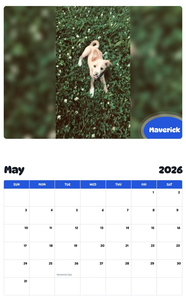 2026 - 2027 Maverick - Pawidols Pet Calendar
