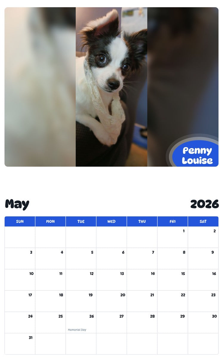 2026 - 2027 Penny Louise - Pawidols Pet Calendar