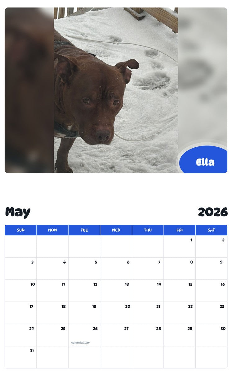 2026 - 2027 Ella - Pawidols Pet Calendar
