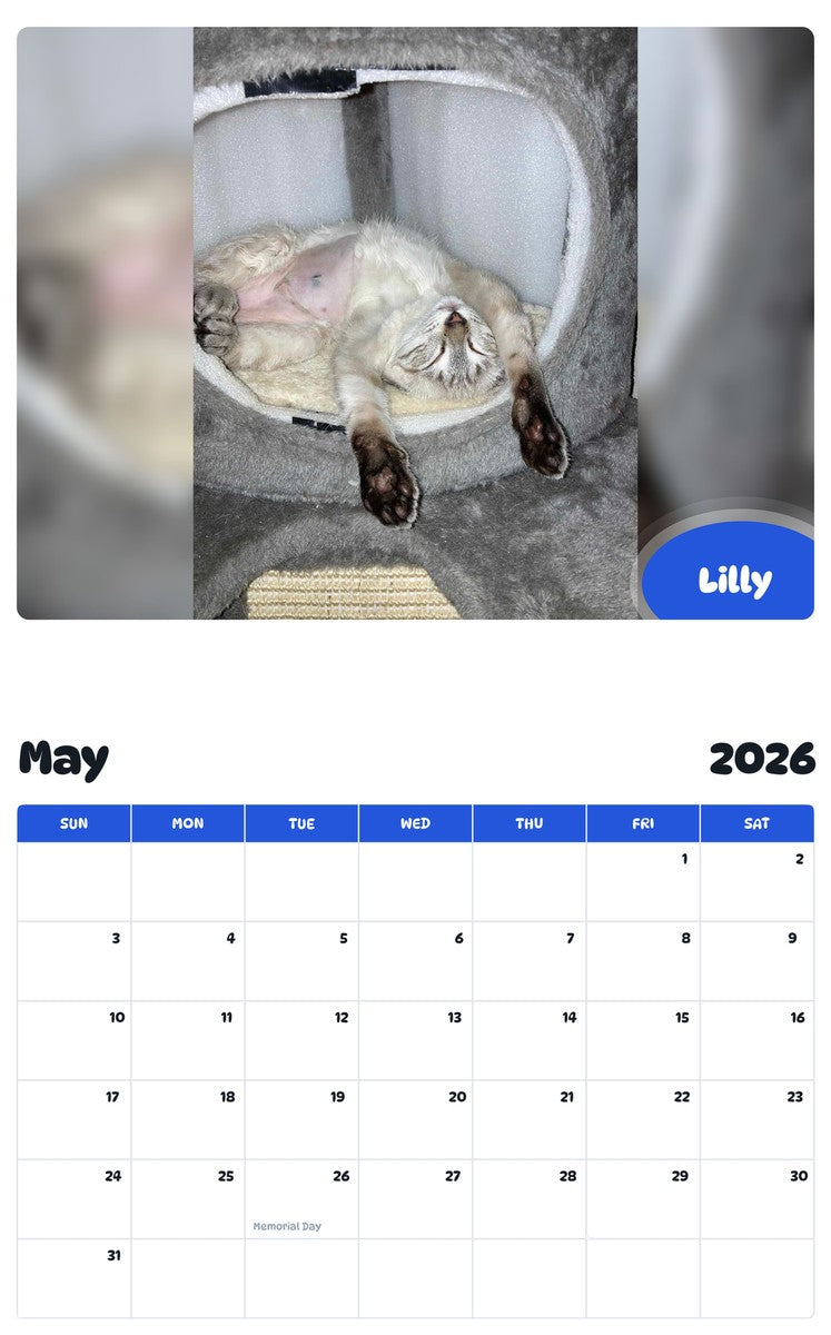 2026 - 2027 Lilly - Pawidols Pet Calendar