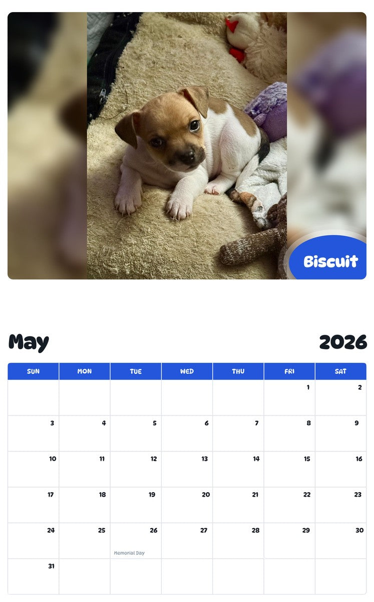 2026 - 2027 Biscuit - Pawidols Pet Calendar