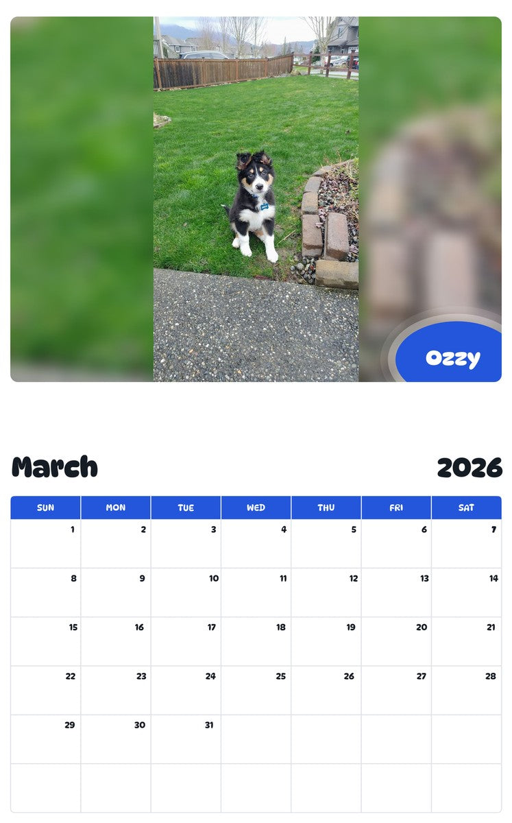 November 2025 - October 2026 Ozzy - Pawidols Pet Calendar