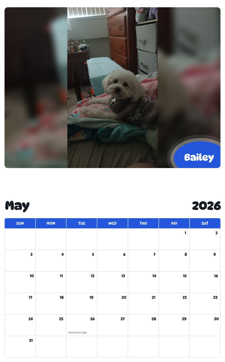 2026 - 2027 Bailey - Pawidols Pet Calendar