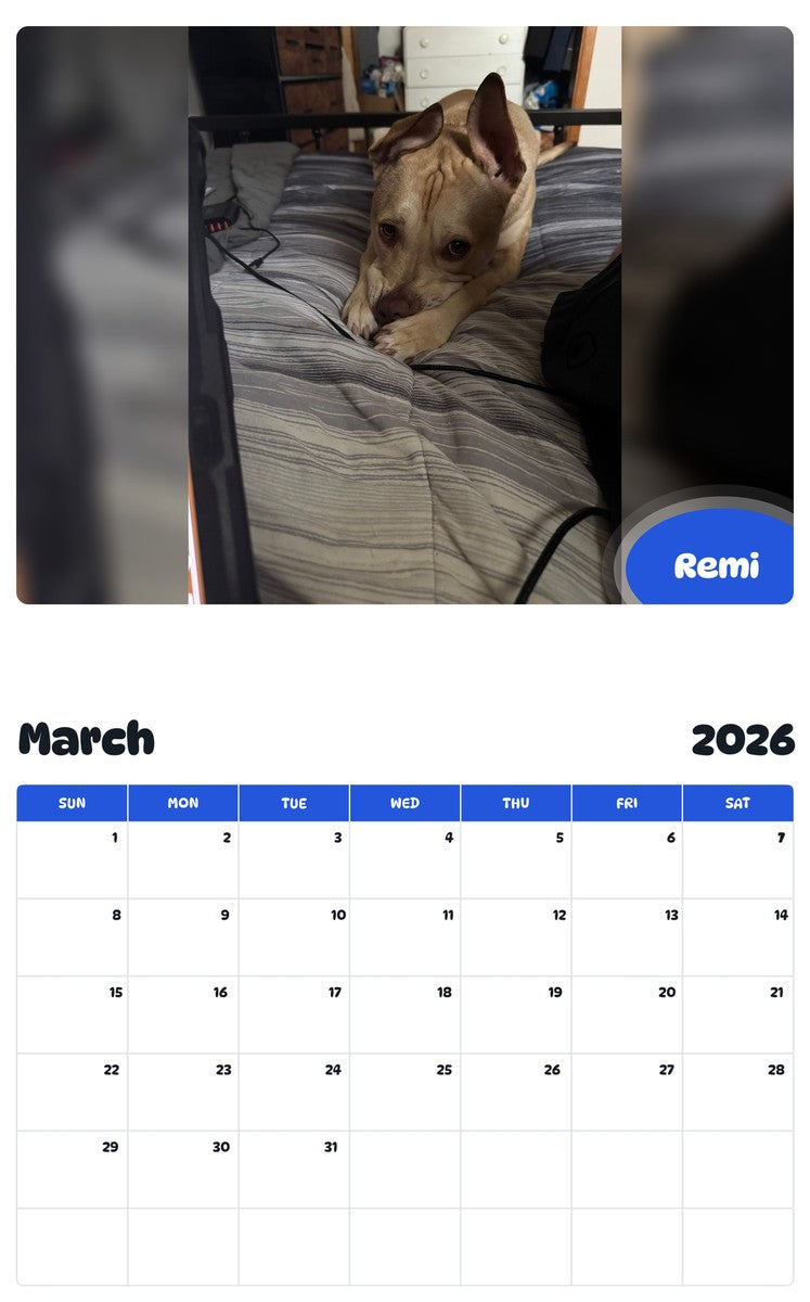 November 2025 - October 2026 Remi - Pawidols Pet Calendar