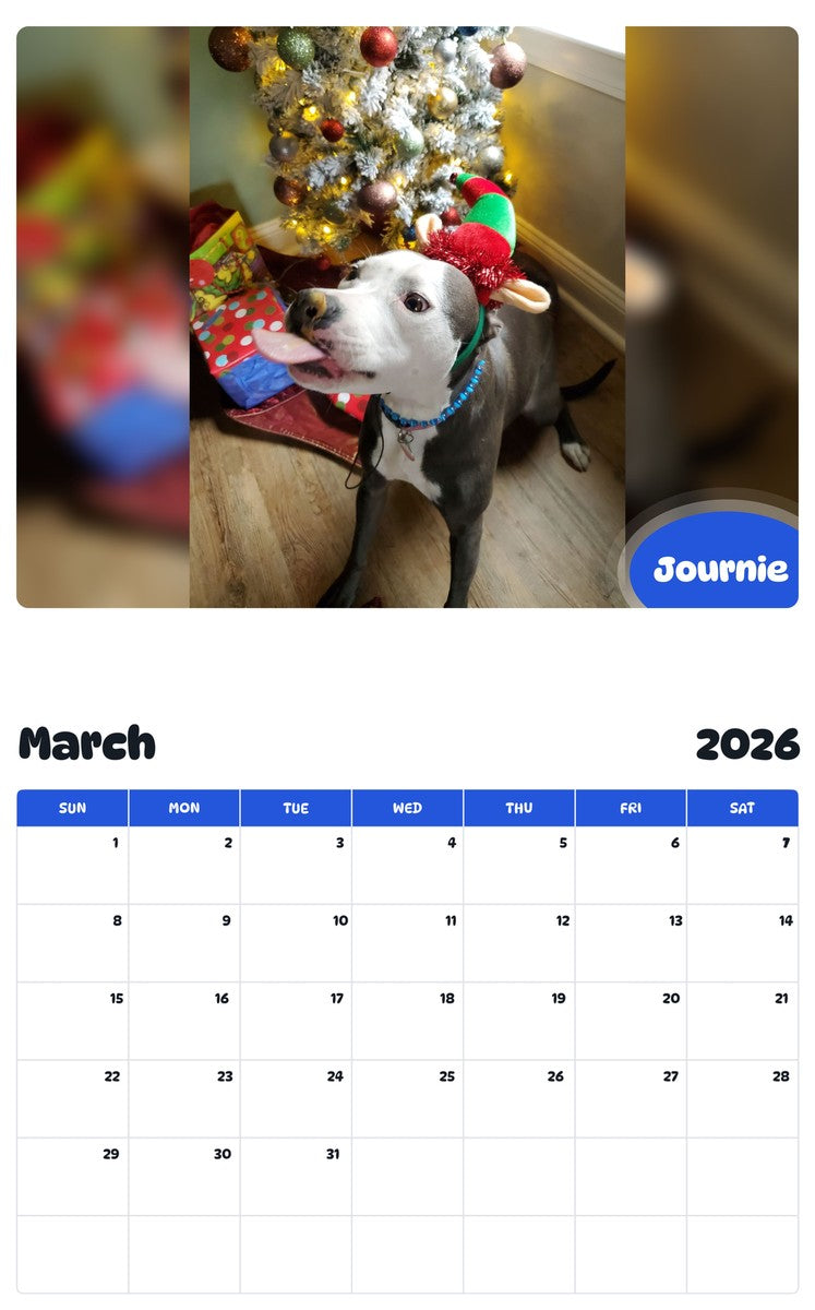 November 2025 - October 2026 Journie - Pawidols Pet Calendar