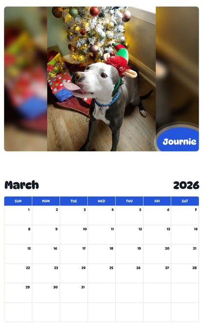 November 2025 - October 2026 Journie - Pawidols Pet Calendar
