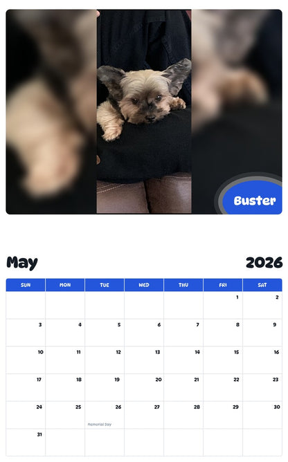 2026 - 2027 Buster - Pawidols Pet Calendar