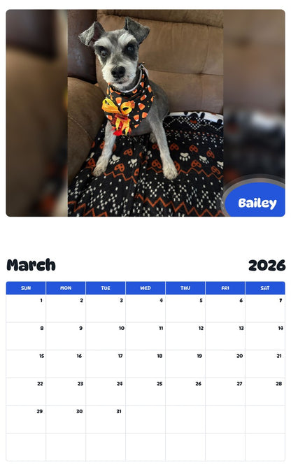 November 2025 - October 2026 Bailey - Pawidols Pet Calendar