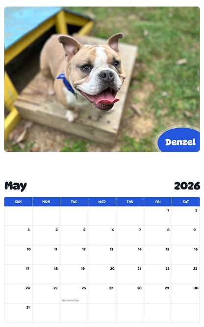 2026 - 2027 Denzel - Pawidols Pet Calendar