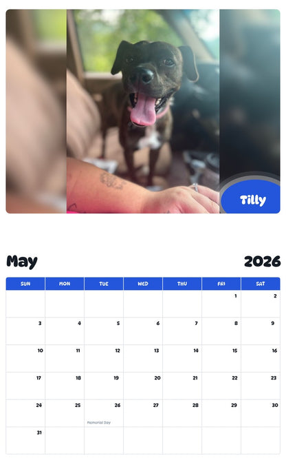 2026 - 2027 Tilly - Pawidols Pet Calendar