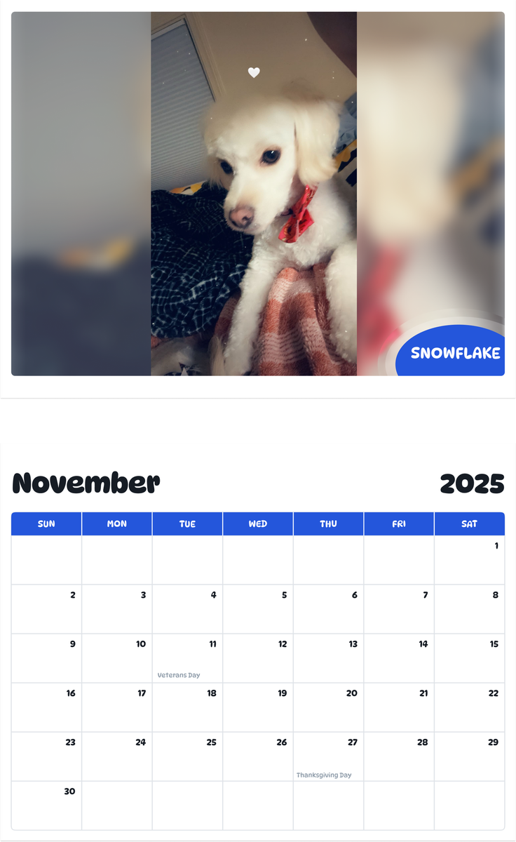 July 2025 - June 2026 Snowflake - Pawidols Pet Calendar