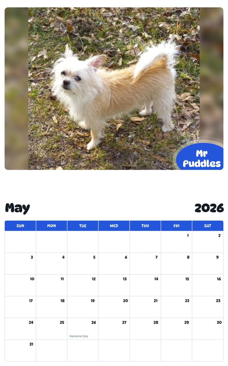 2026 - 2027 Mr Puddles - Pawidols Pet Calendar