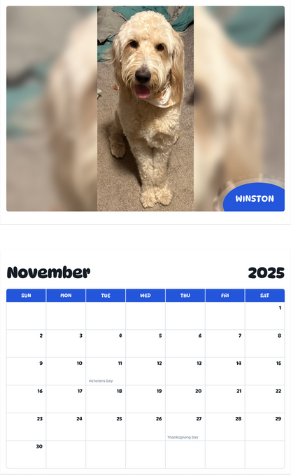 July 2025 - June 2026 Winston - Pawidols Pet Calendar