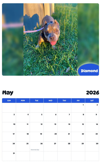 2026 - 2027 Diamond - Pawidols Pet Calendar