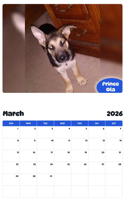 November 2025 - October 2026 Prince Ola - Pawidols Pet Calendar