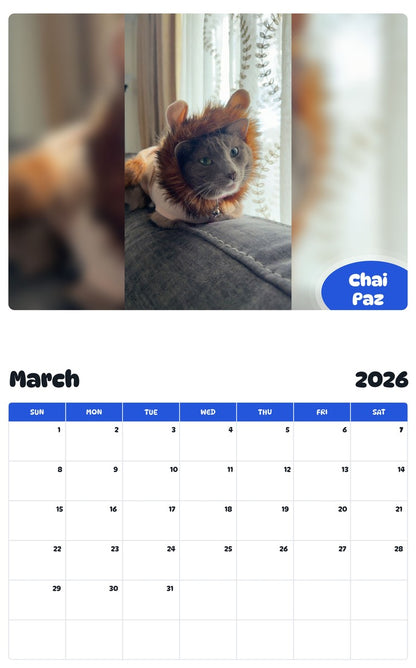 November 2025 - October 2026 Chai Paz - Pawidols Pet Calendar
