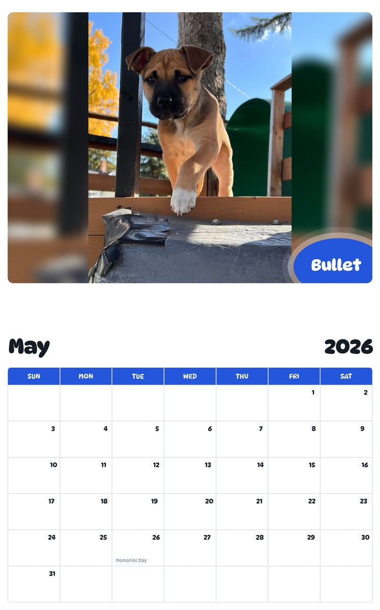 2026 - 2027 Bullet - Pawidols Pet Calendar
