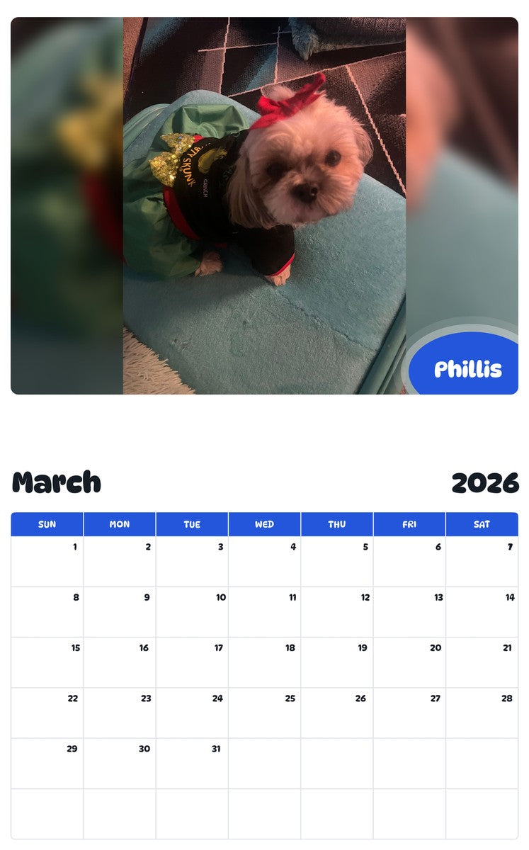 November 2025 - October 2026 Phillis - Pawidols Pet Calendar