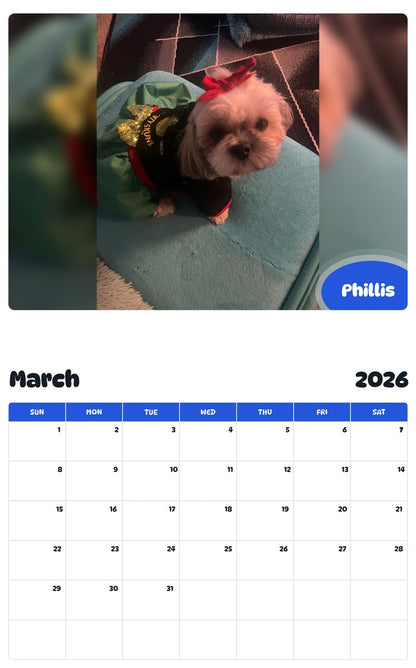 November 2025 - October 2026 Phillis - Pawidols Pet Calendar