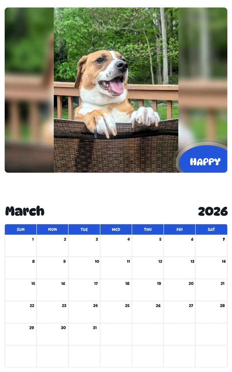 November 2025 - October 2026 HAPPY - Pawidols Pet Calendar