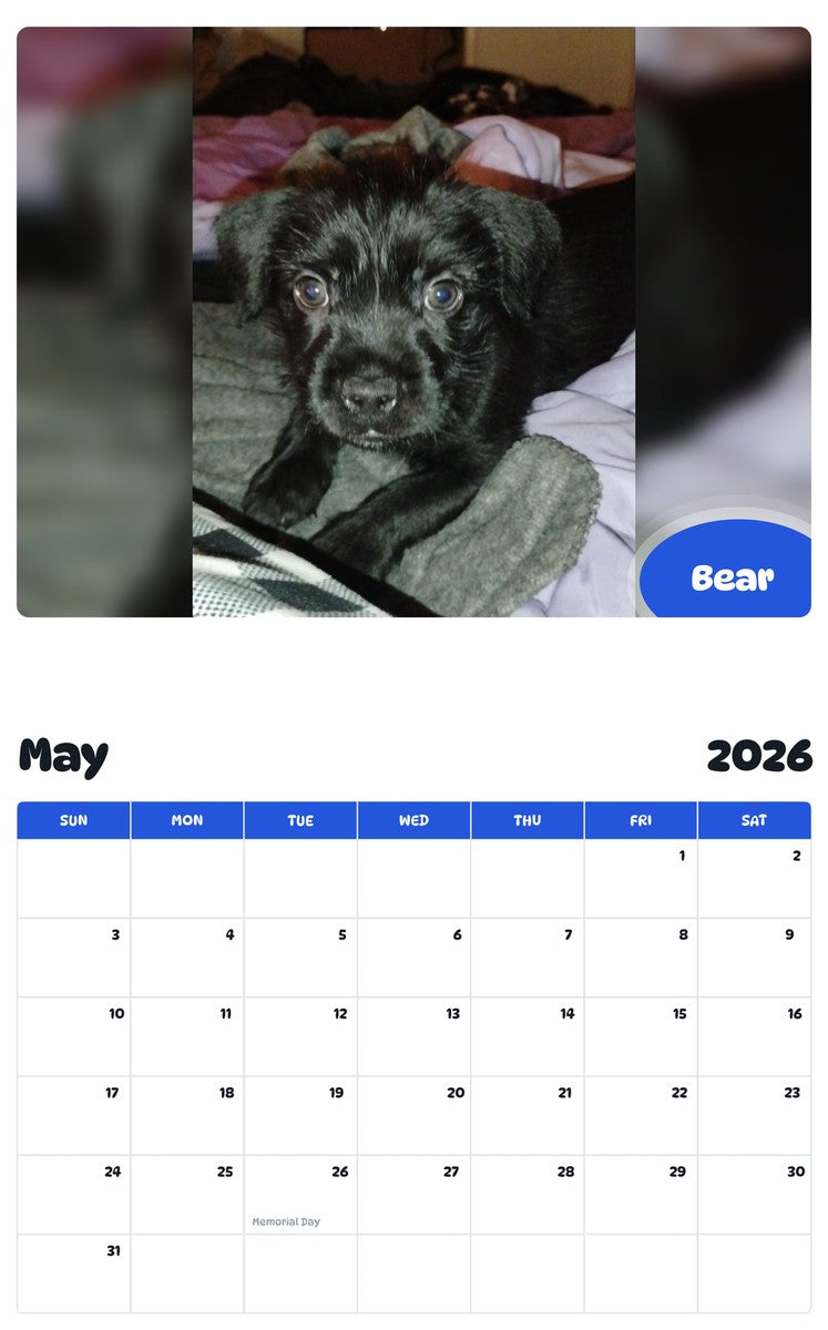 2026 - 2027 Bear - Pawidols Pet Calendar