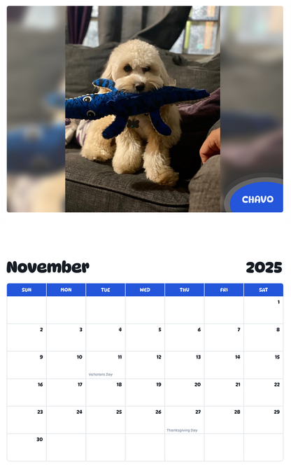 July 2025 - June 2026 Chavo - Pawidols Pet Calendar