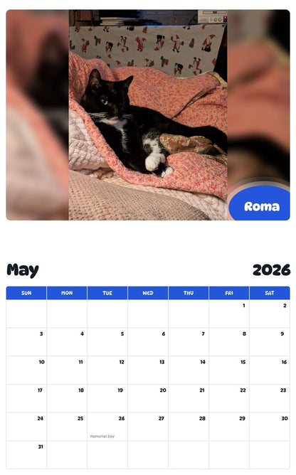 2026 - 2027 Roma - Pawidols Pet Calendar