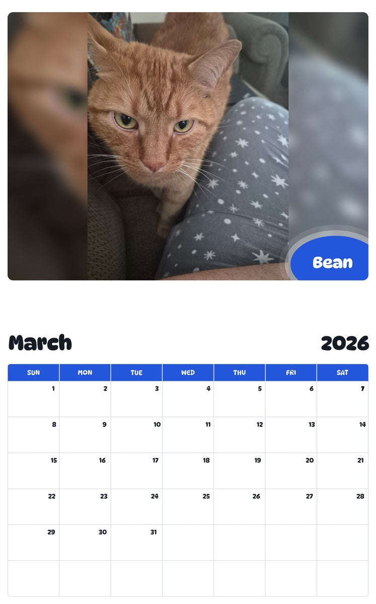 November 2025 - October 2026 Bean - Pawidols Pet Calendar