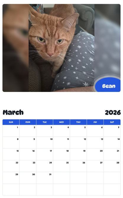 November 2025 - October 2026 Bean - Pawidols Pet Calendar